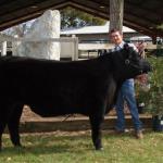 Colton Atkinson
Champion Local Bred