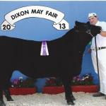 2013 Supreme Champion Steer